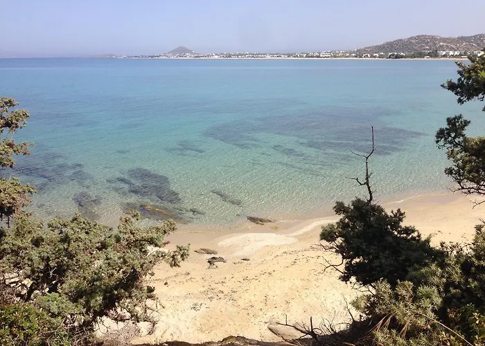 Naxos Beachvilla Villa *